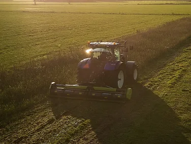 Grassland2
