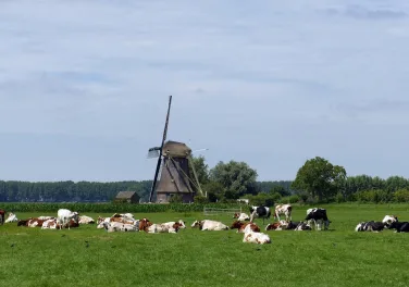 Nederland
